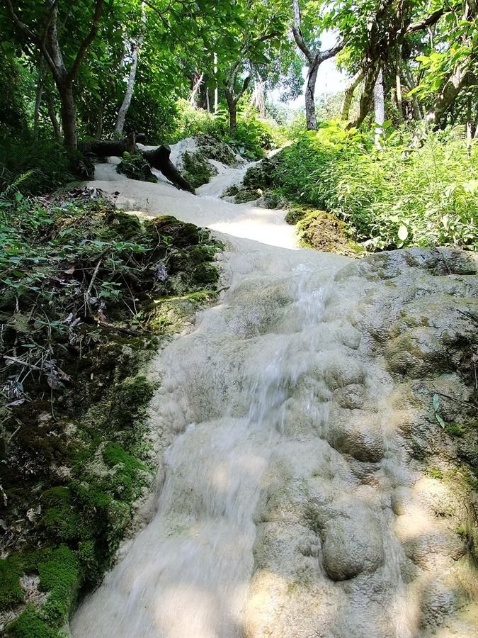Bua Tong waterval (kleverige waterval), Chiang Mai, Thailand