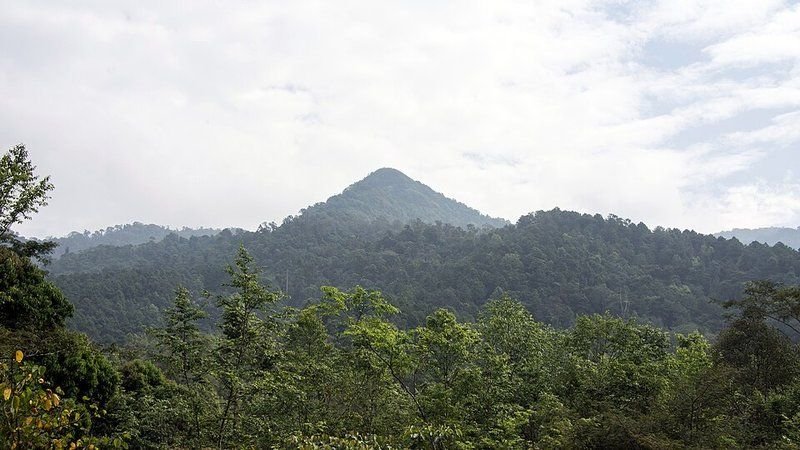 Doi Phu Kha Nationaal Park, Nan, Thailand