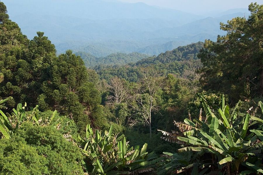 Doi Suthep–Pui Nationaal Park, Chiang Mai, Thailand