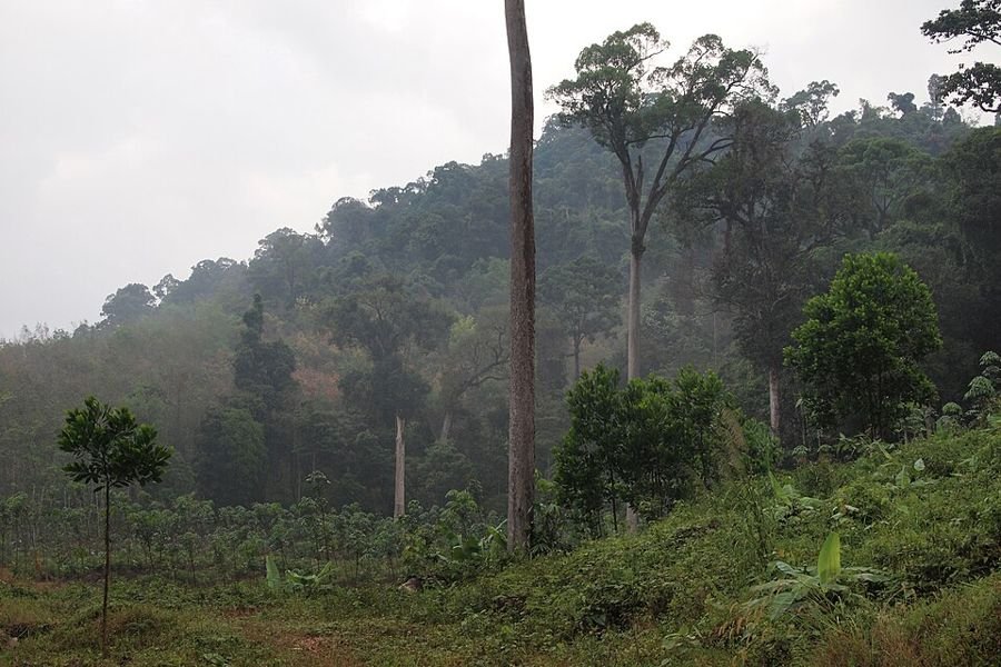 Khao Lak–Lam Ru Nationaal Park, Phang Nga, Thailand
