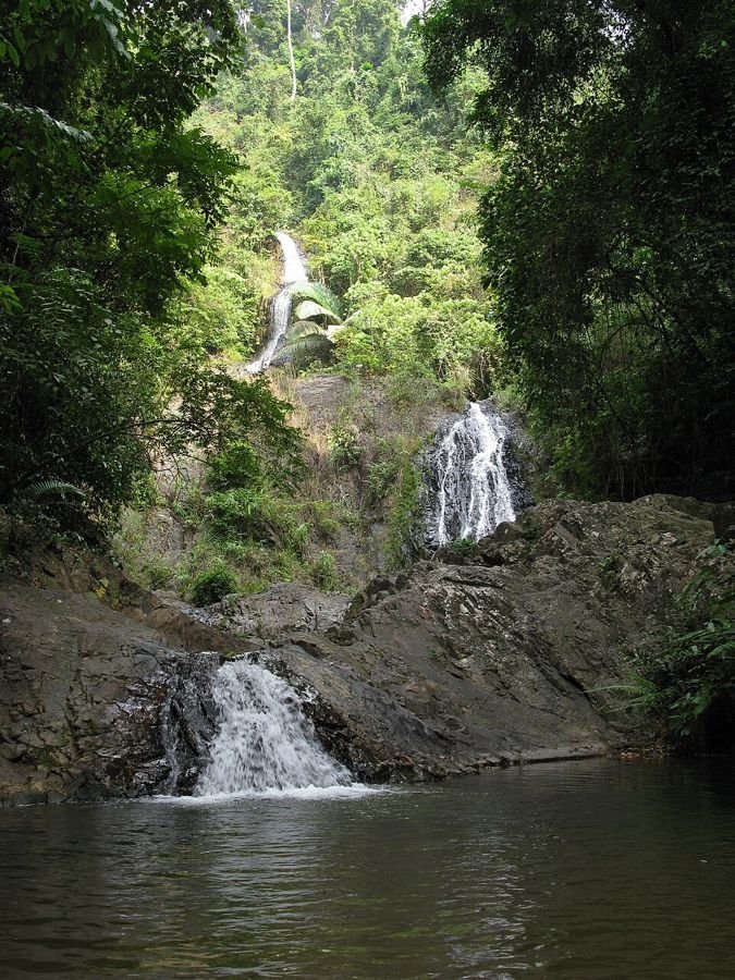 Khao Phanom Bencha Nationaal Park, Krabi, Thailand