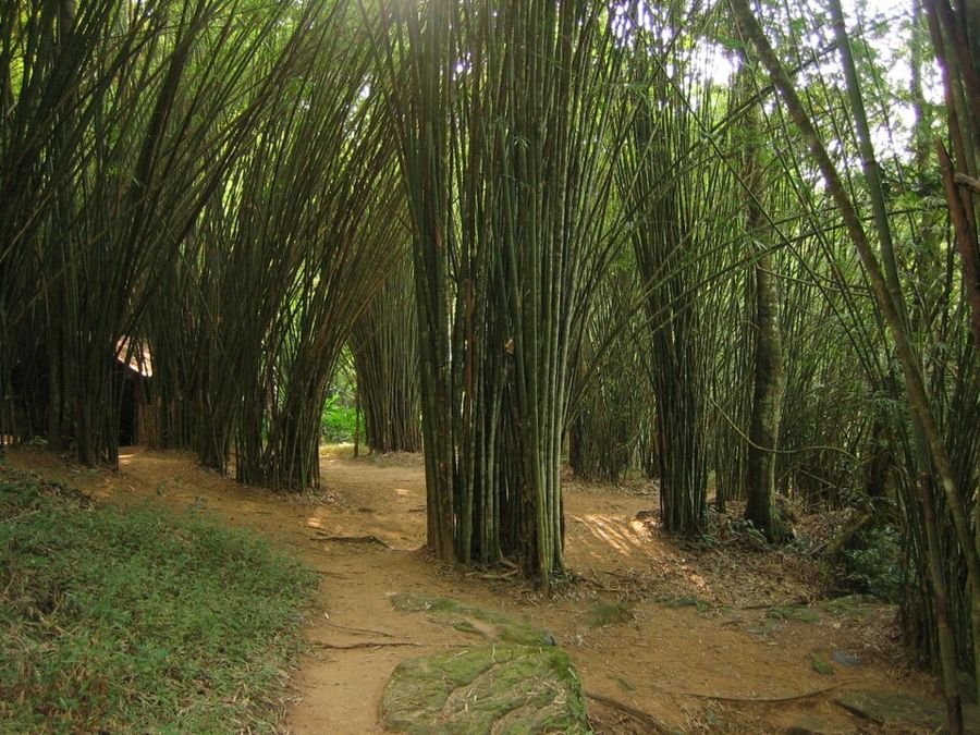 Nam Nao Nationaal Park, Phetchabun, Thailand