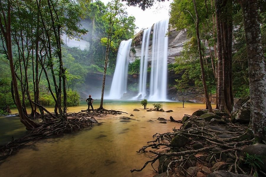 Phu Chong–Na Yoi Nationaal Park, Ubon Ratchathani, Thailand